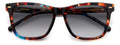 Carrera 3001/s Sunglasses
