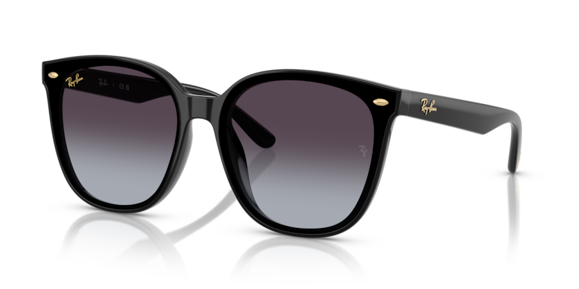 Ray-Ban RB4423D  Sunglasses