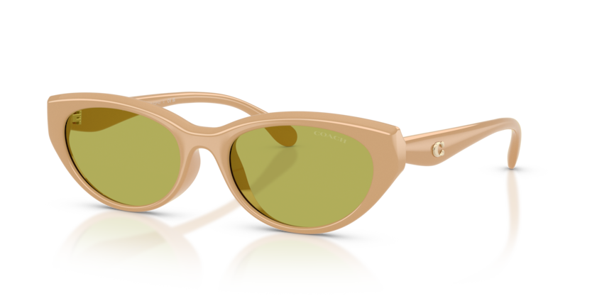 Coach HC8456D Cdp42 Sunglasses