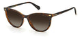 Polaroid PLD 4107/S Sunglasses
