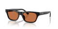 Polo PH4238U  Sunglasses