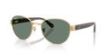 Ray-Ban RB3766CH  Sunglasses