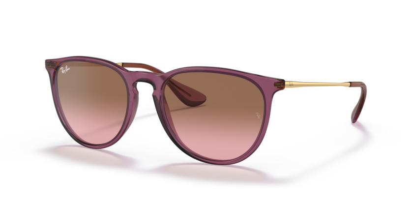 Ray-Ban RB4171 Erika Sunglasses