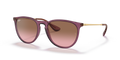 Ray-Ban RB4171 Erika Sunglasses