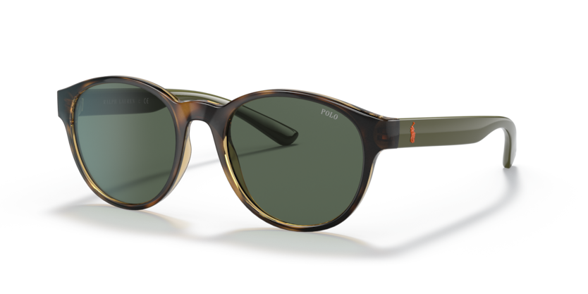 Polo PH4176  Sunglasses
