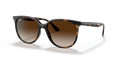 Ray-Ban RB4378  Sunglasses