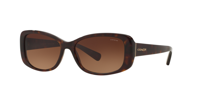 Coach HC8168 L156 Sunglasses