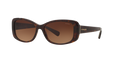 Coach HC8168 L156 Sunglasses