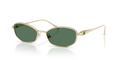 Swarovski SK7042  Sunglasses