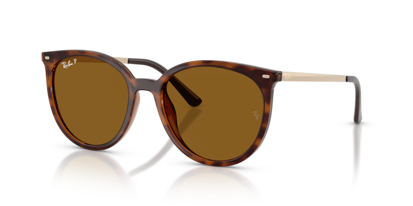 Ray-Ban RB4464L  Sunglasses