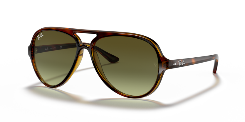 Ray-Ban RB4125 Cats 5000 Sunglasses