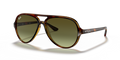 Ray-Ban RB4125 Cats 5000 Sunglasses