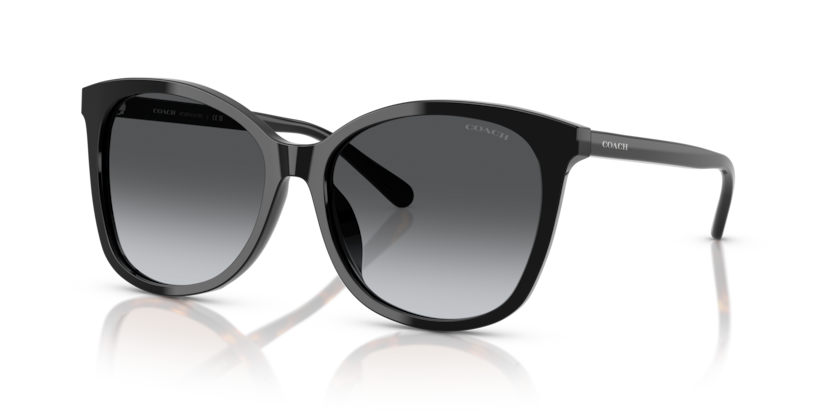 Coach HC8271U L1101 Sunglasses