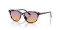 Dolce & Gabbana Kids DX4010  Sunglasses Kids