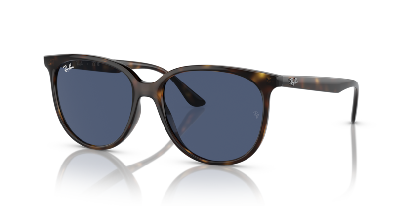 Ray-Ban RB4378  Sunglasses