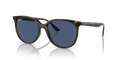 Ray-Ban RB4378  Sunglasses