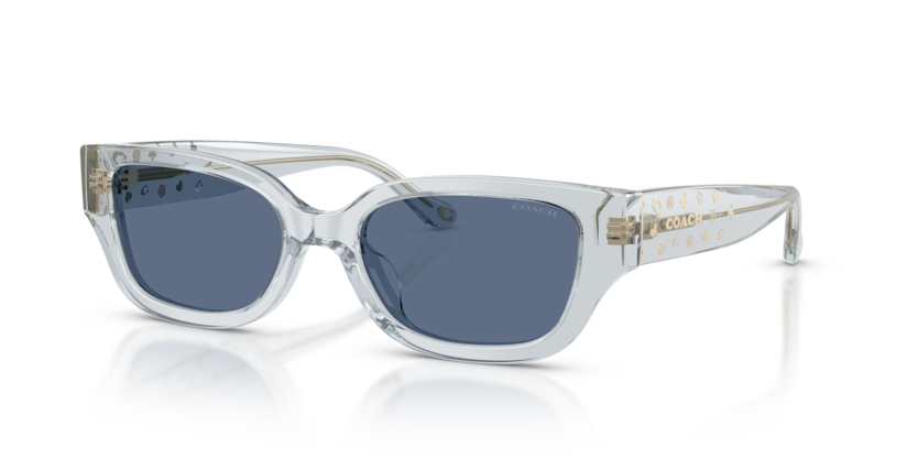 Coach HC8439U Cbz52 Sunglasses