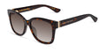 Stuart Weitzman WZN 8007/G/S Sunglasses