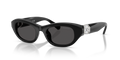 Swarovski SK6036U  Sunglasses