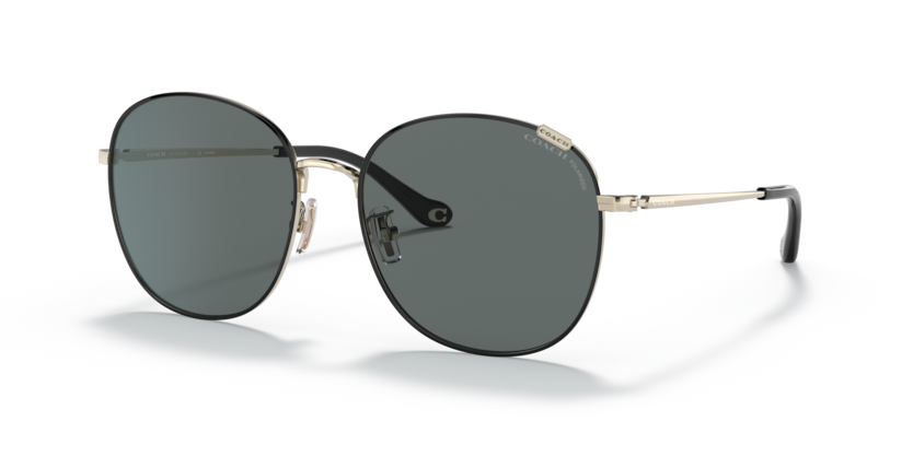 Coach HC7134 C7996 Sunglasses