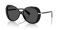 Swarovski SK6059  Sunglasses