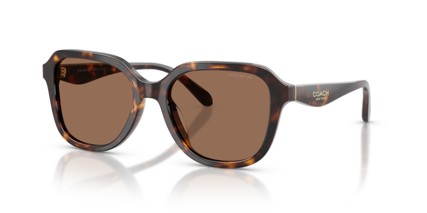Coach HC8437F Cby89 Sunglasses
