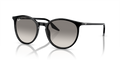 Ray-Ban RB2204F  Sunglasses