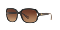 Coach HC8169 L149 Sunglasses