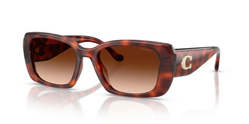 Coach HC8435U Cby82 Sunglasses