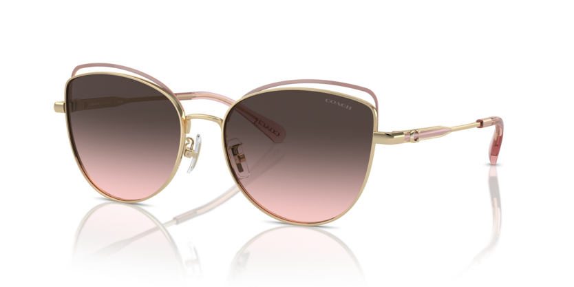 Coach HC7162 Cr621 Sunglasses