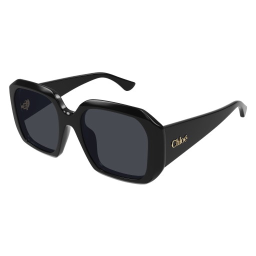 Chloé CH0300S Sunglasses