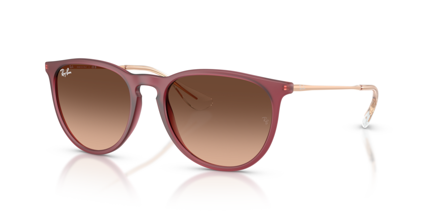 Ray-Ban RB4171F Erika Sunglasses