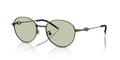 Diesel DL1012D  Sunglasses