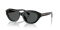 Polo PH4237U  Sunglasses