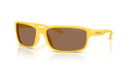 Arnette AN4373  Sunglasses