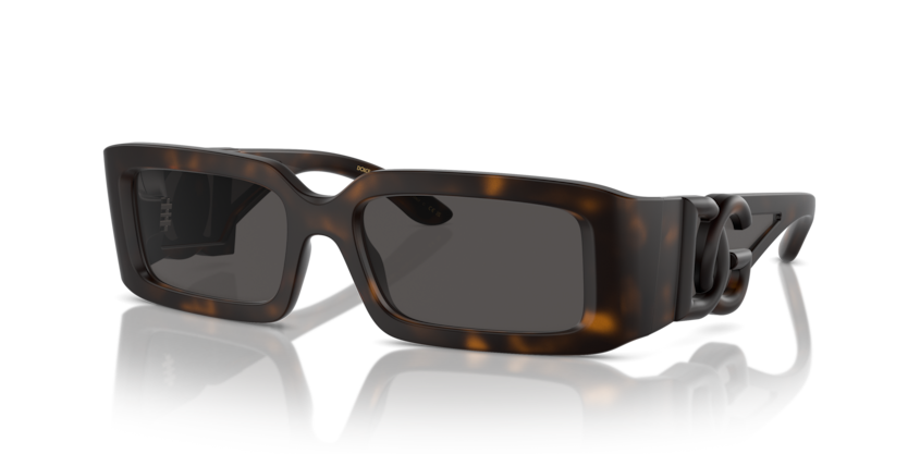 Dolce & Gabbana DG6197  Sunglasses