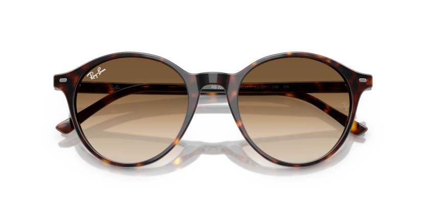 Ray-Ban RB2230F Bernard Sunglasses