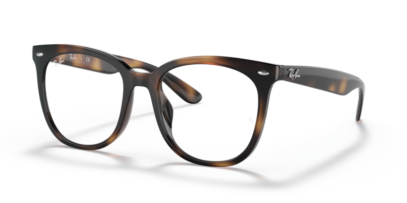 Ray-Ban Vista RX4379VD  Eyeglasses
