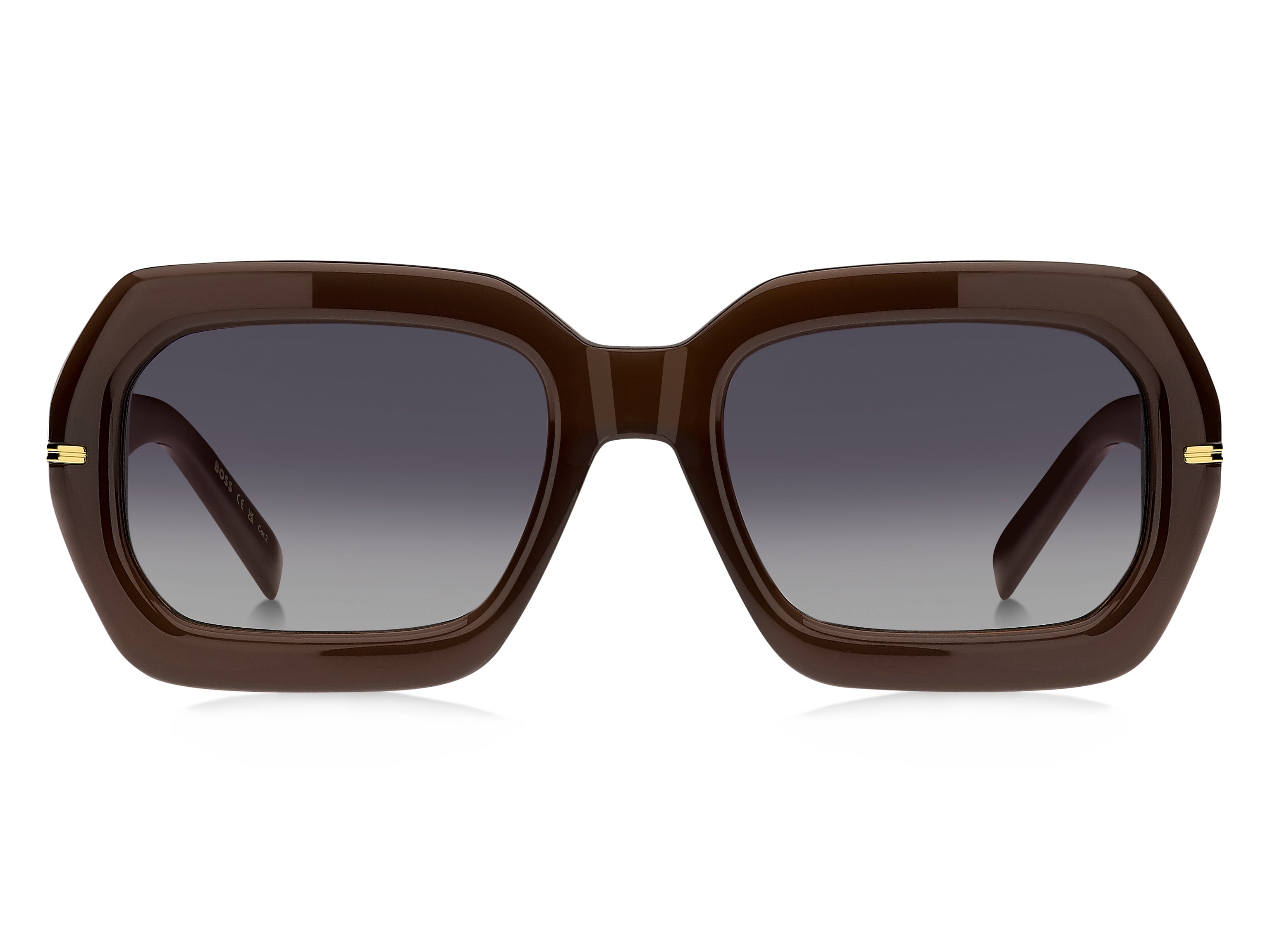 Hugo Boss 1732/g/s Sunglasses