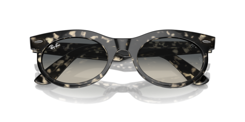 Ray-Ban RB2242F Wayfarer Oval Sunglasses