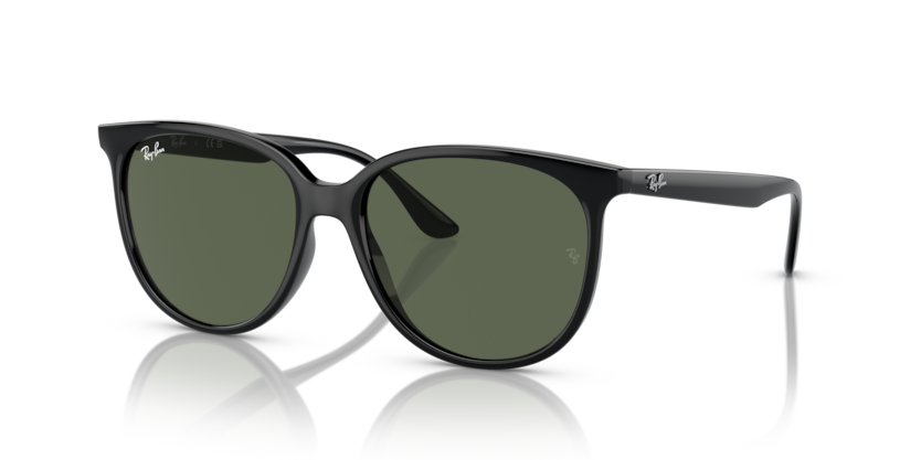 Ray-Ban RB4378  Sunglasses
