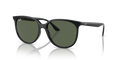 Ray-Ban RB4378  Sunglasses