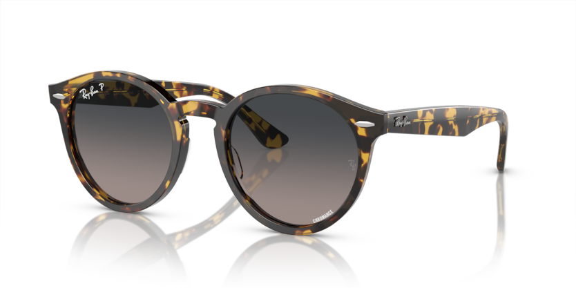 Ray-Ban RB7680S Larry Sunglasses
