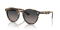 Ray-Ban RB7680S Larry Sunglasses