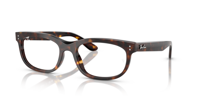 Ray-Ban Vista RX5489F Balorette Eyeglasses