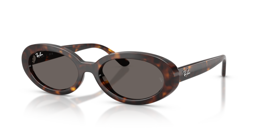 Ray-Ban RB2223  Sunglasses