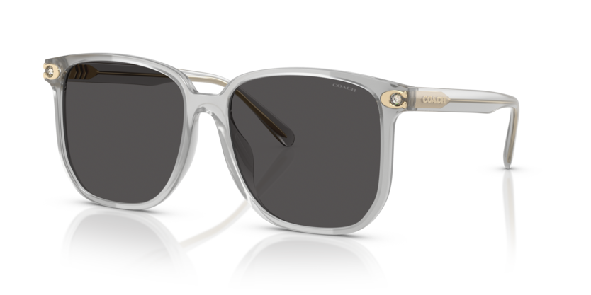 Coach HC8413BD Cw419 Sunglasses