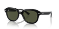 Ray-Ban RB4398 Erik Sunglasses