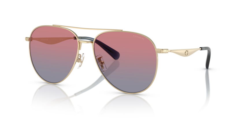 Coach HC7169 Cw193 Sunglasses