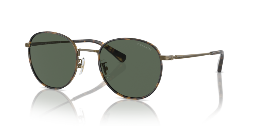 Coach HC7163 Cr631 Sunglasses
